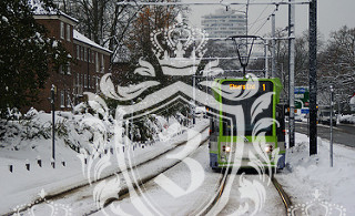 Elmers End BR3 domestic removals Elmers End BR3 domestic removals
